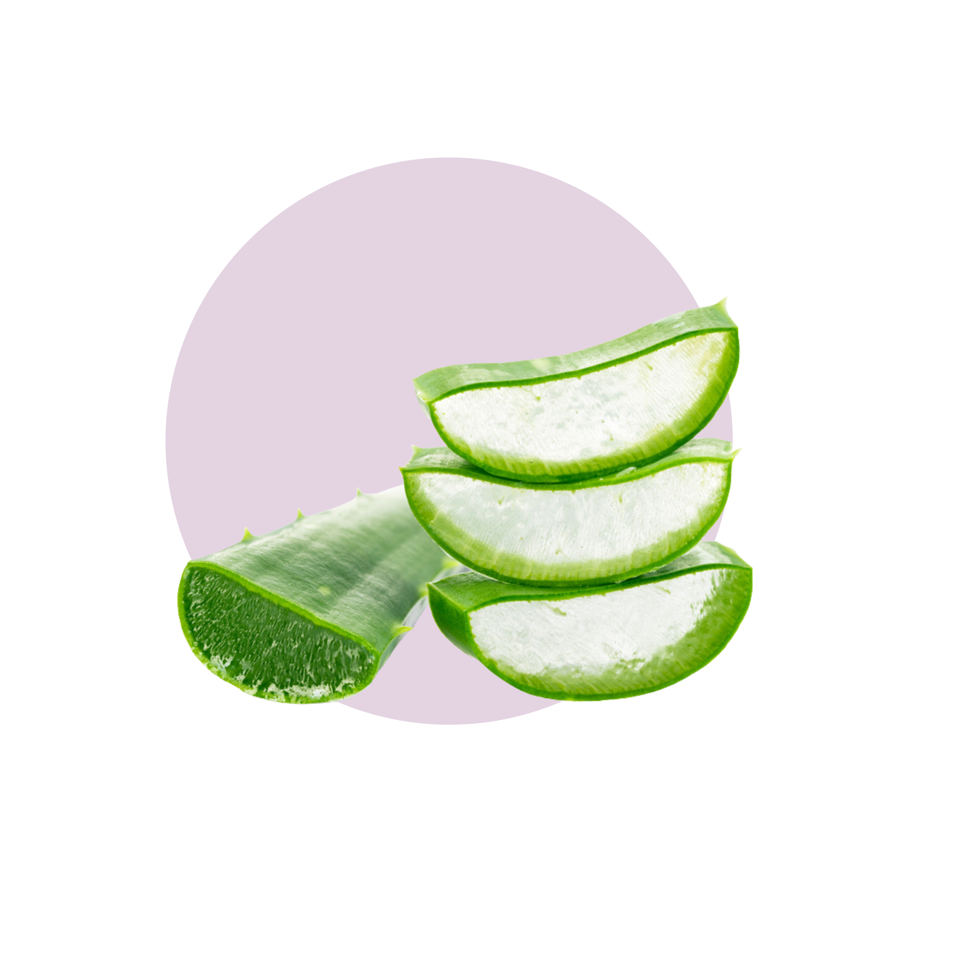 Aloe Vera Extract