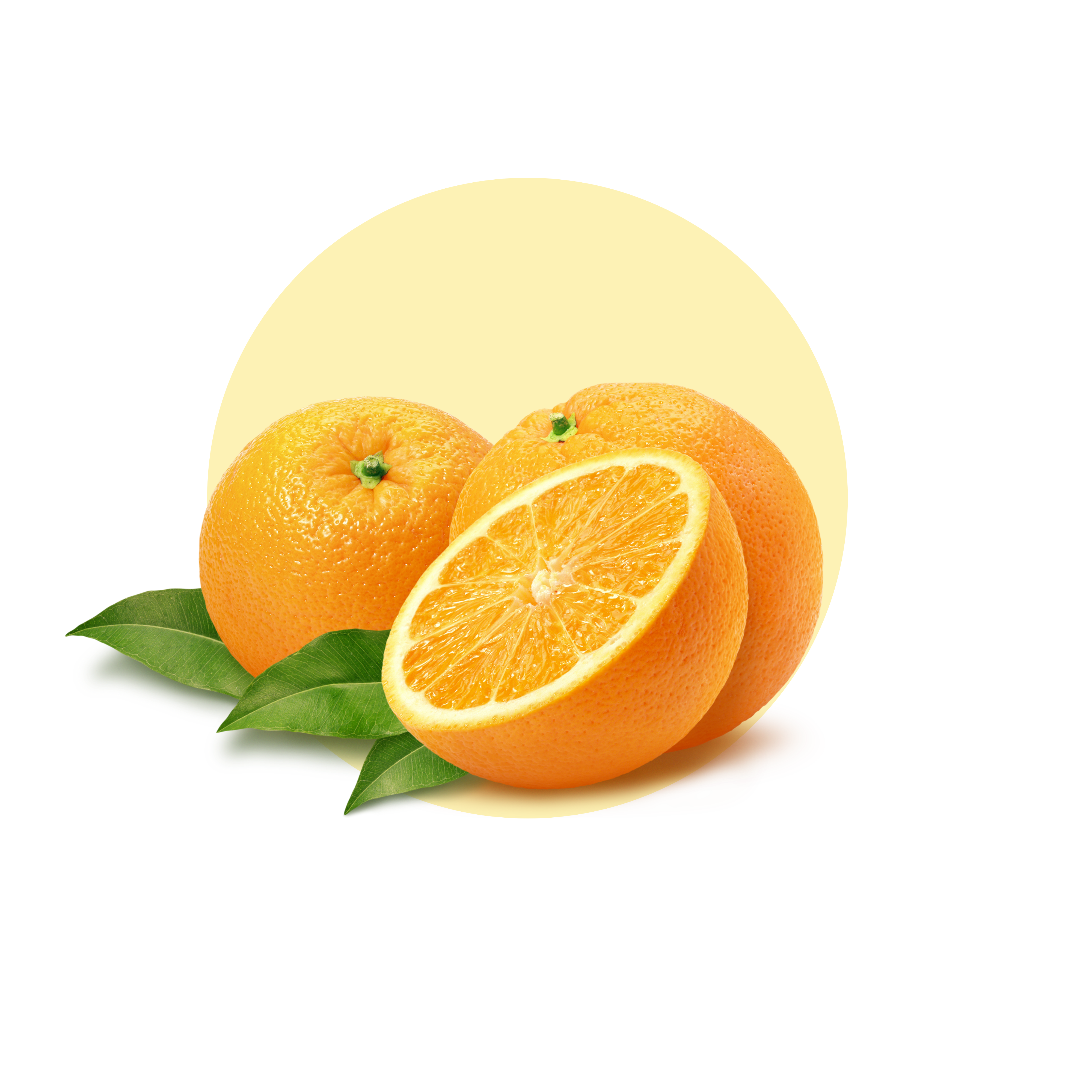 Vitamin C – Orange Extract