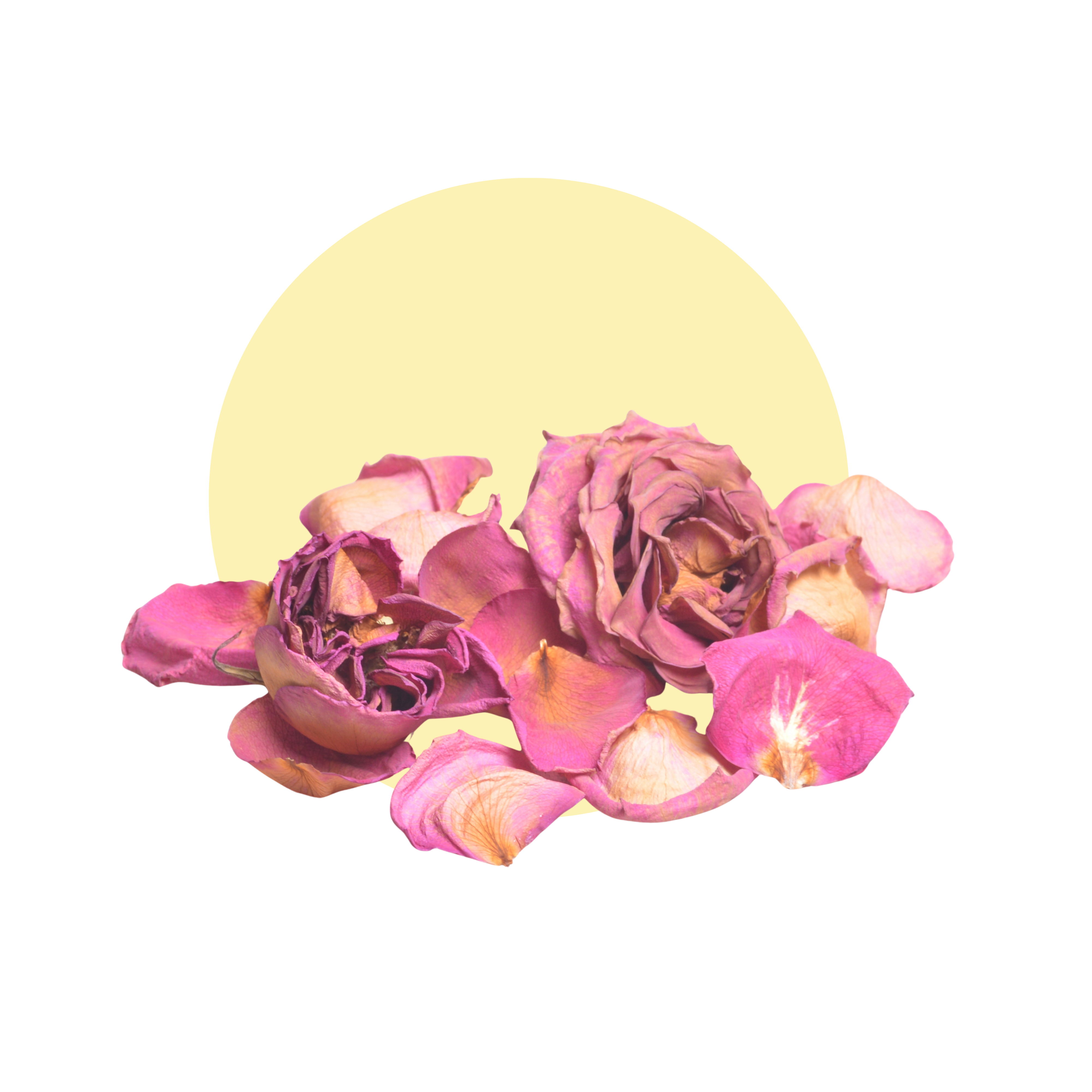 Pure Organic Rose Water (Rosa Damascena)