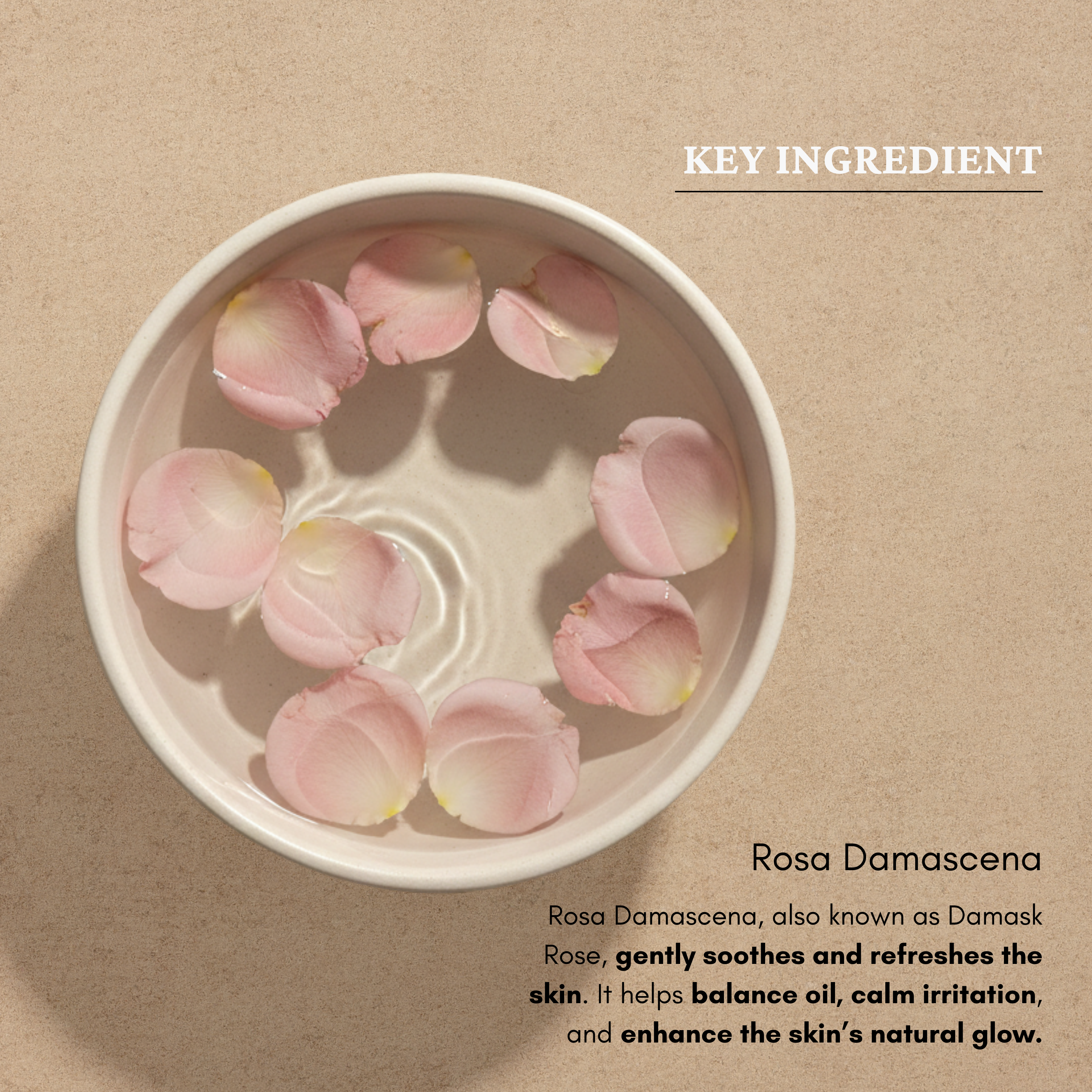 Rose Water Mist & Face Toner Spray