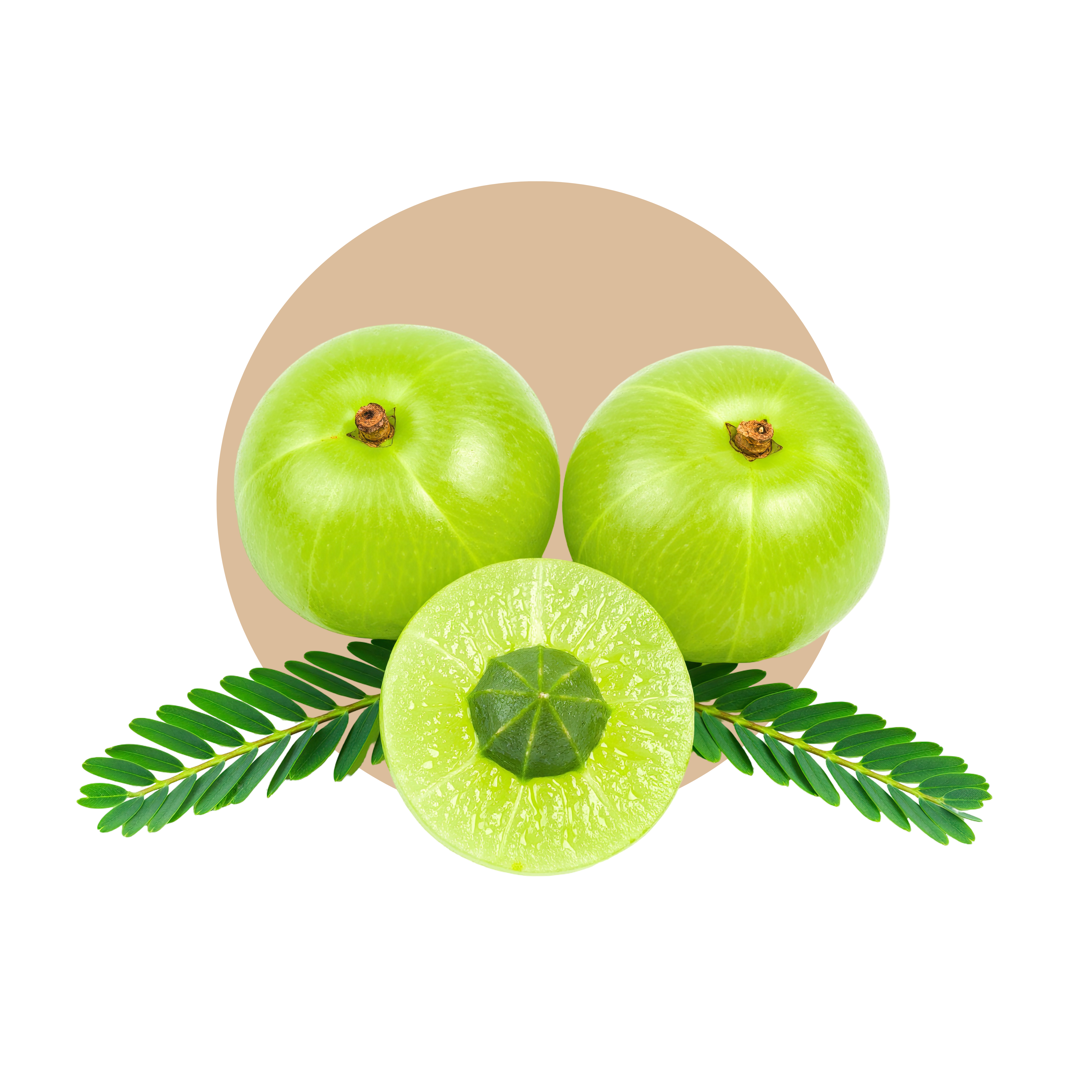 Amla (Indian Gooseberry) 