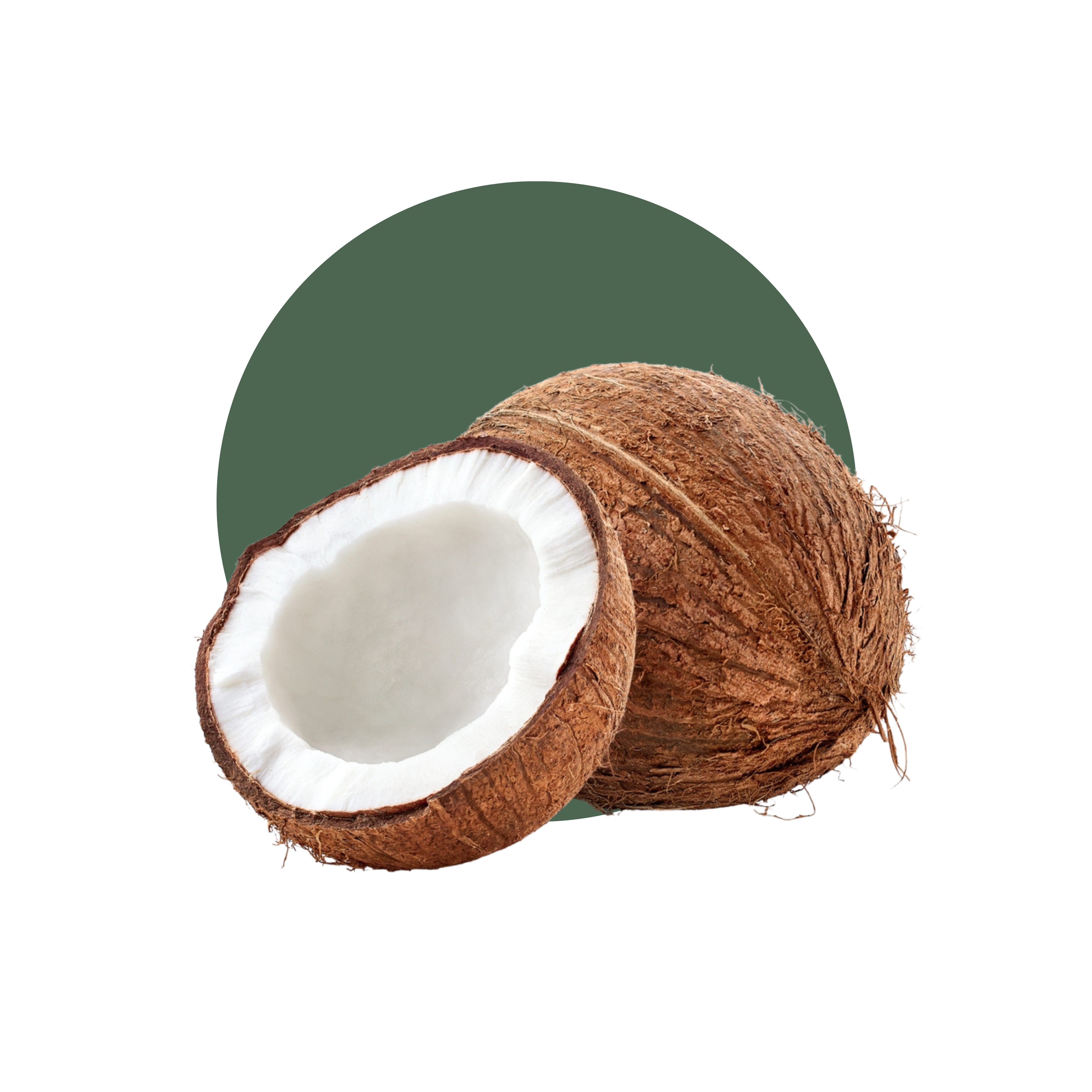 Coconut Oil