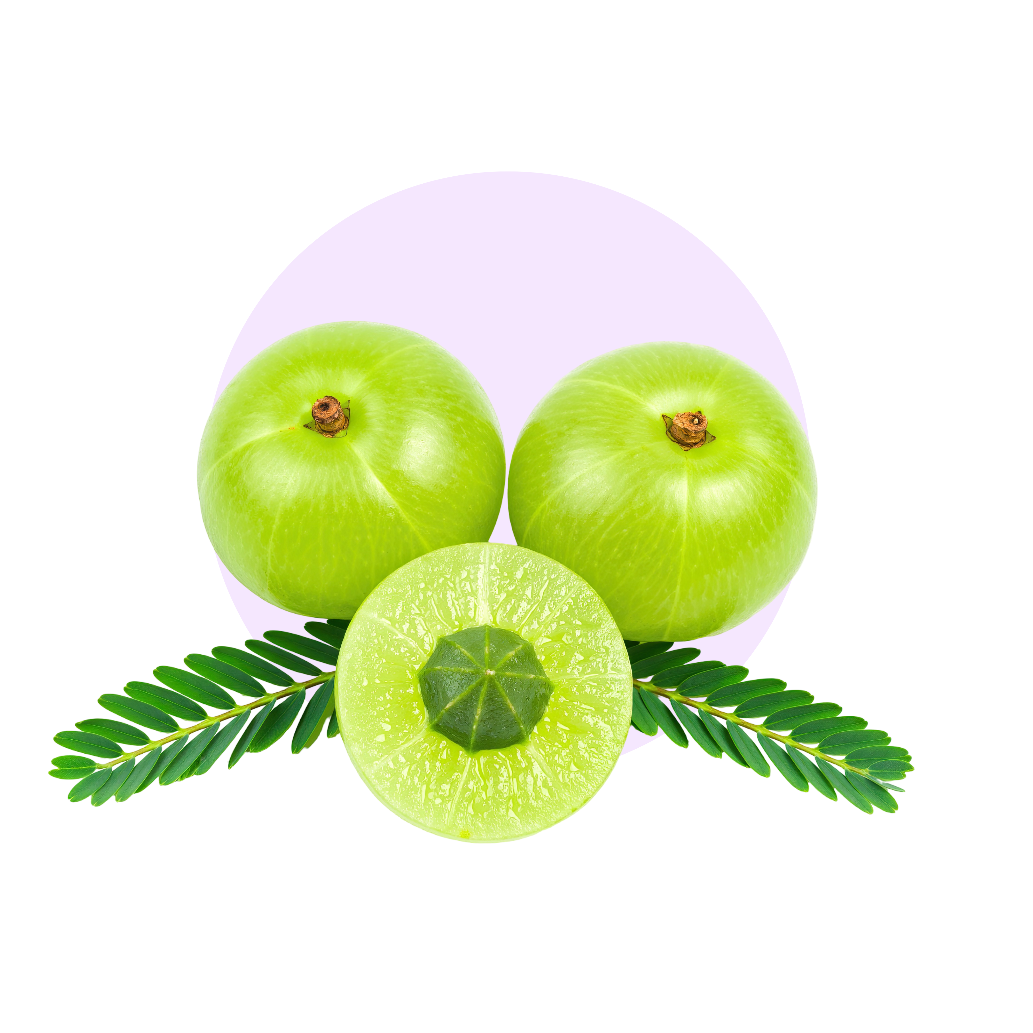 Amla (Indian Gooseberry) 