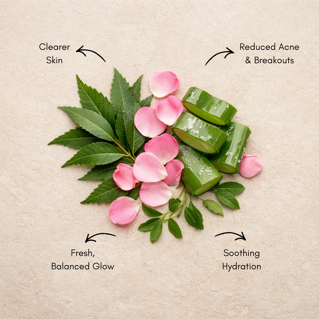 Anti-Acne -Face Care Combo