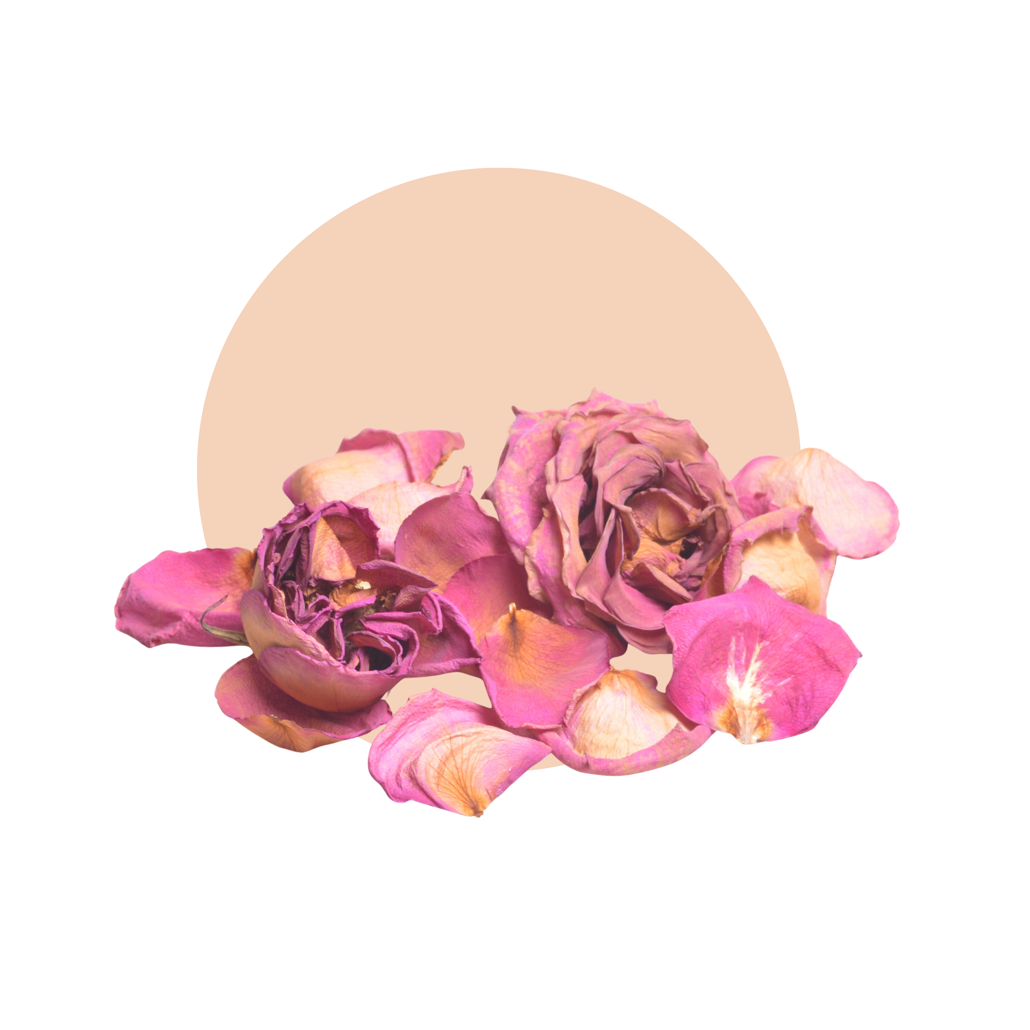 Pure Organic Rose Water (Rosa Damascena)