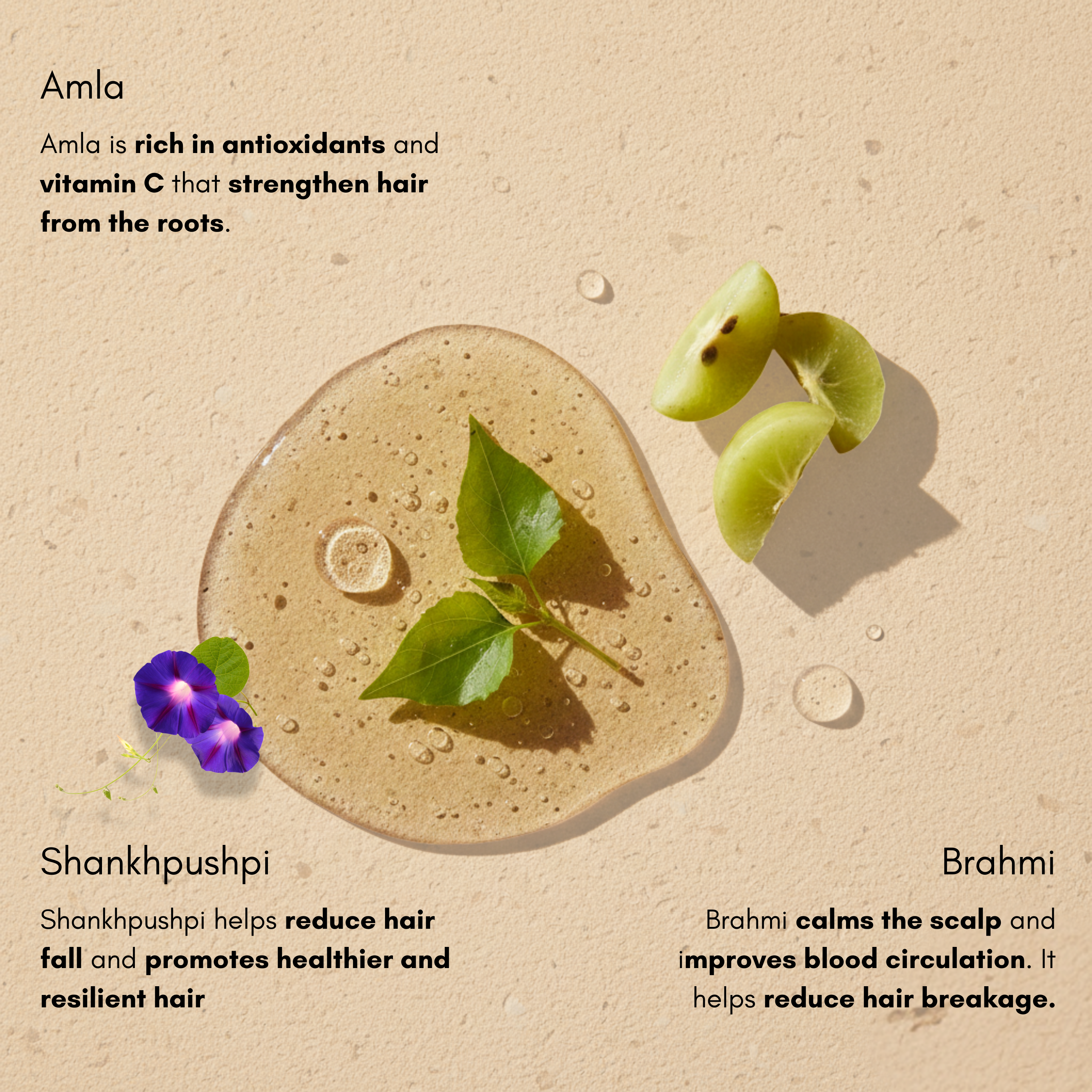 Shankhpushpi Anti-Hair Fall Oil