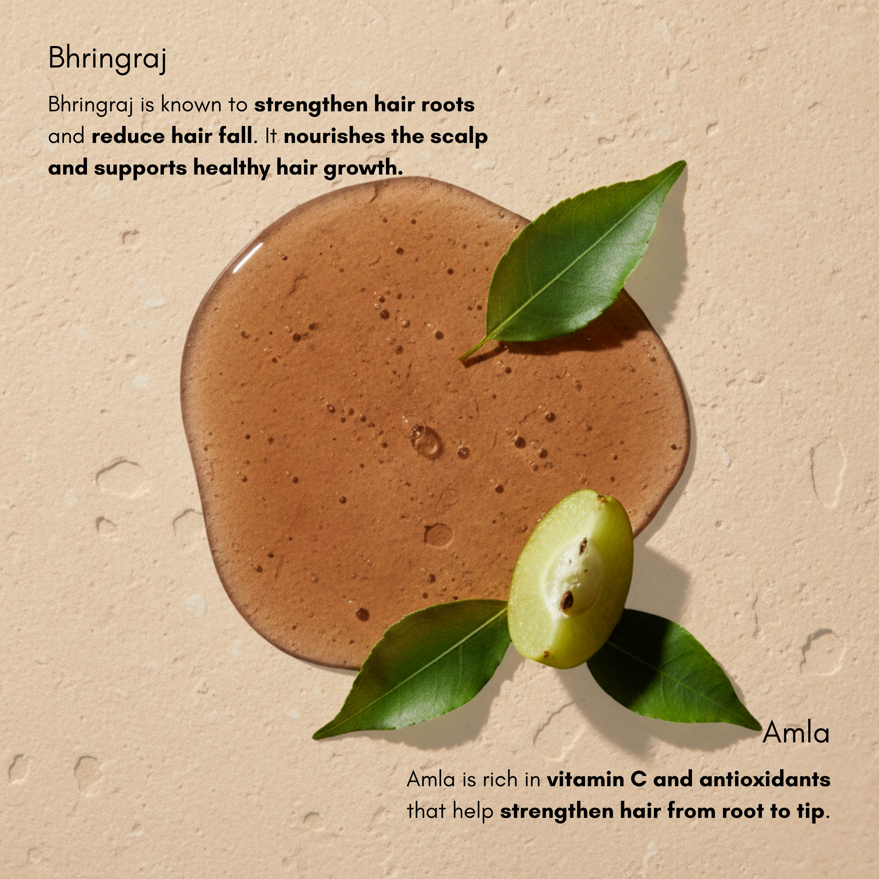 Anti‑Hairfall Bhringraj & Amla Shampoo with Reetha & Shikakai