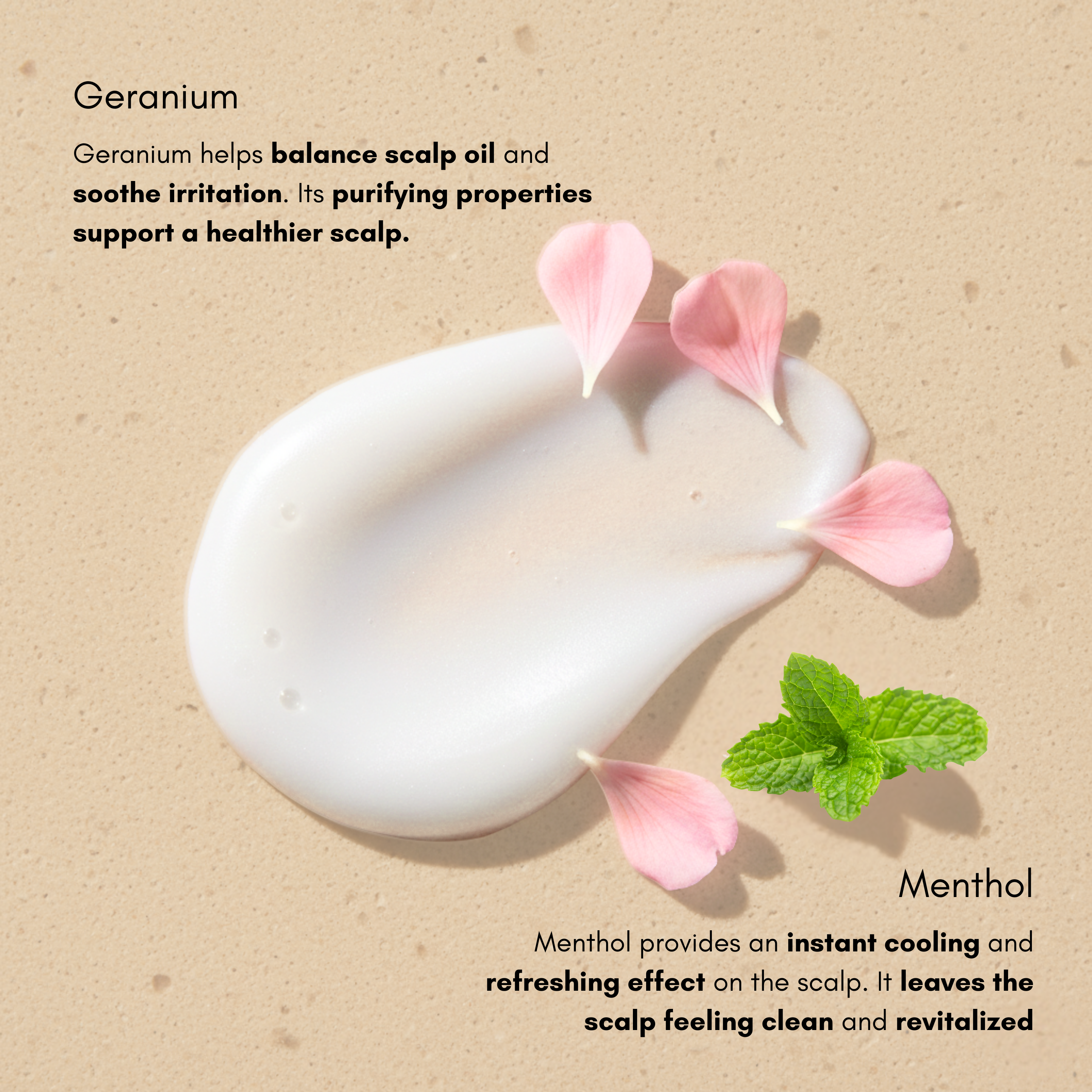 Anti-Dandruff Shampoo with Geranium and Menthol Herbs