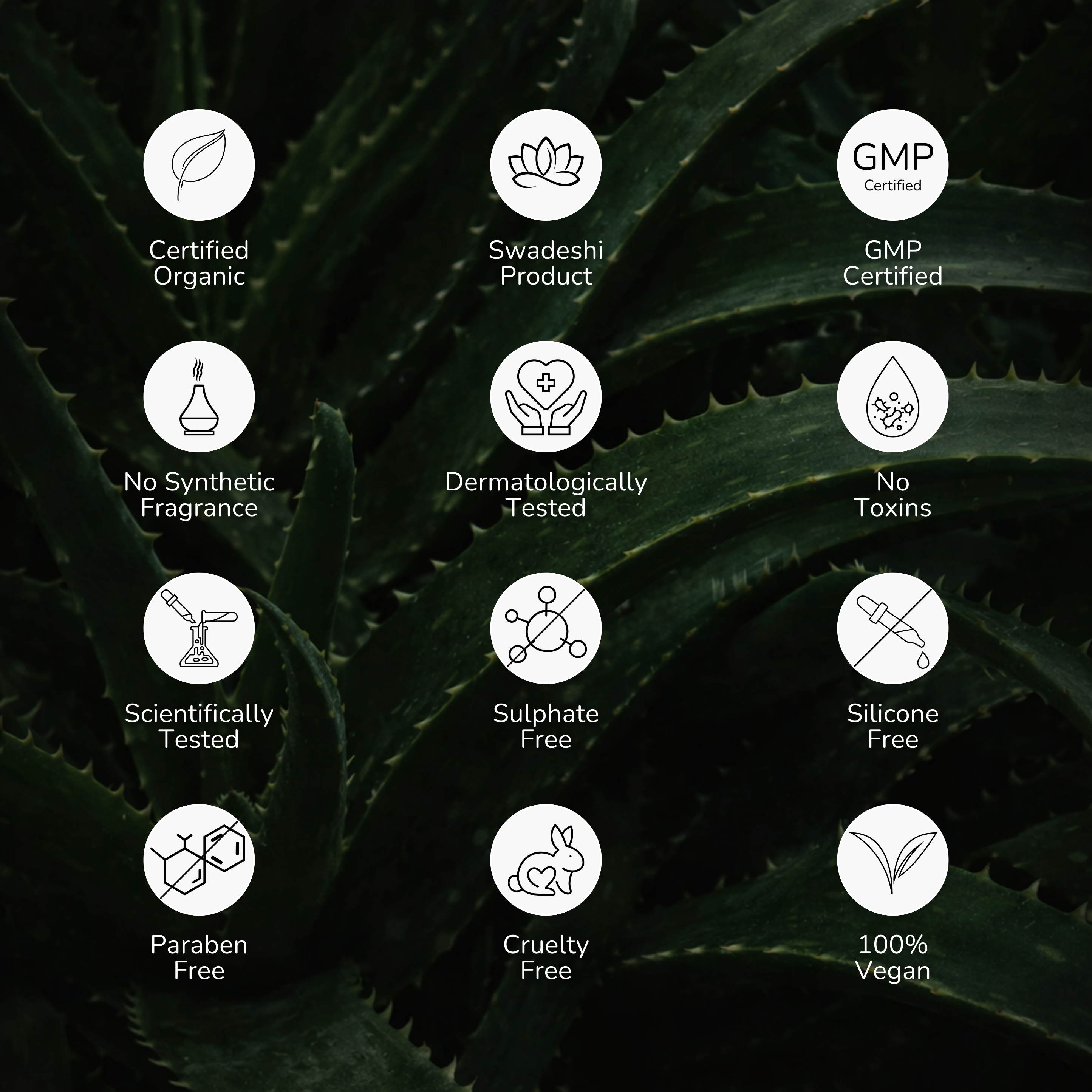 Vitamin C Orange Face Wash