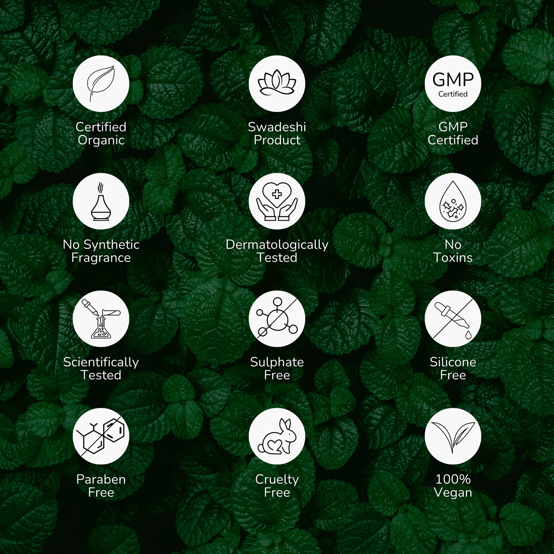 Anti-Dandruff Shampoo with Geranium and Menthol Herbs