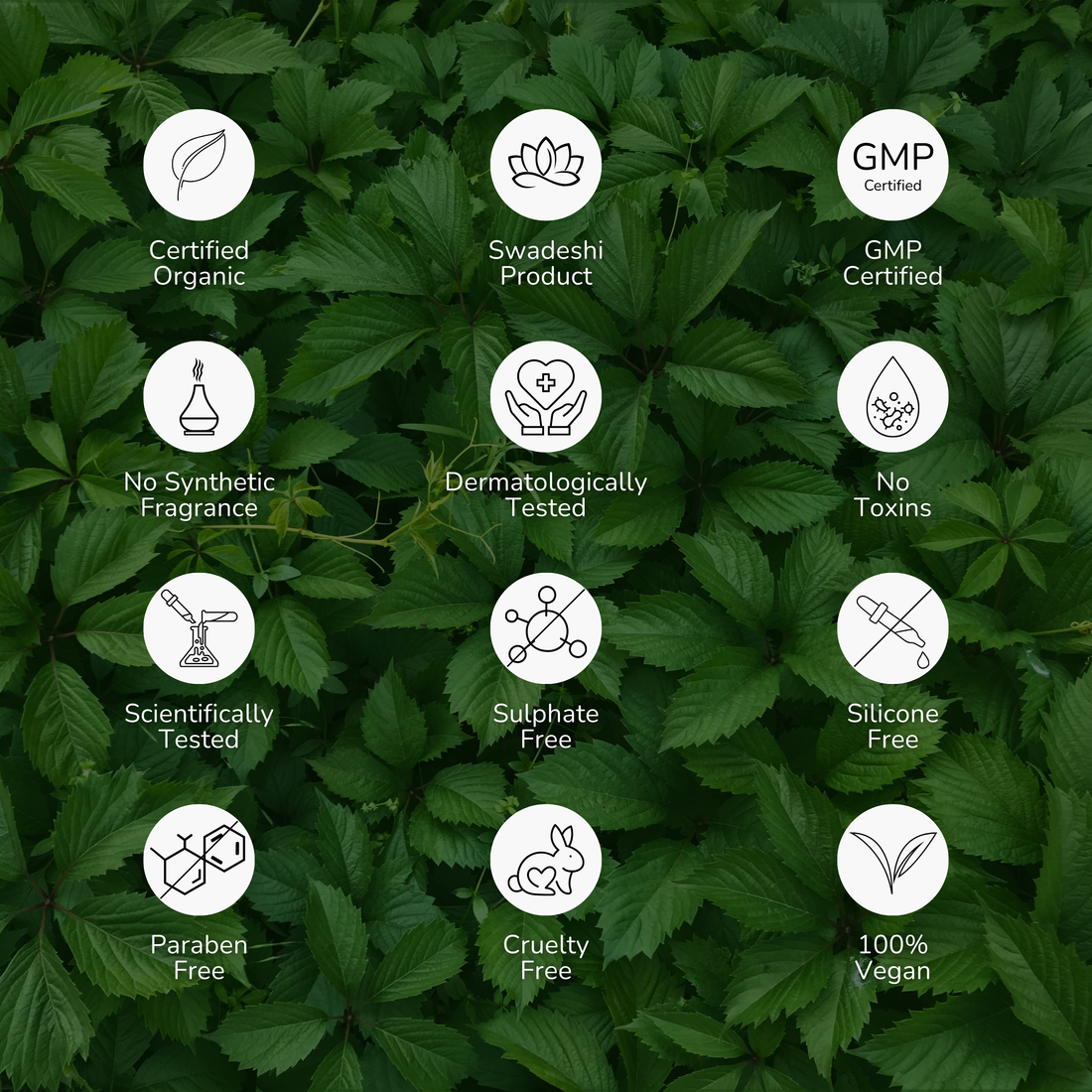 Anti-Aging Green Tea Cognitive Booster